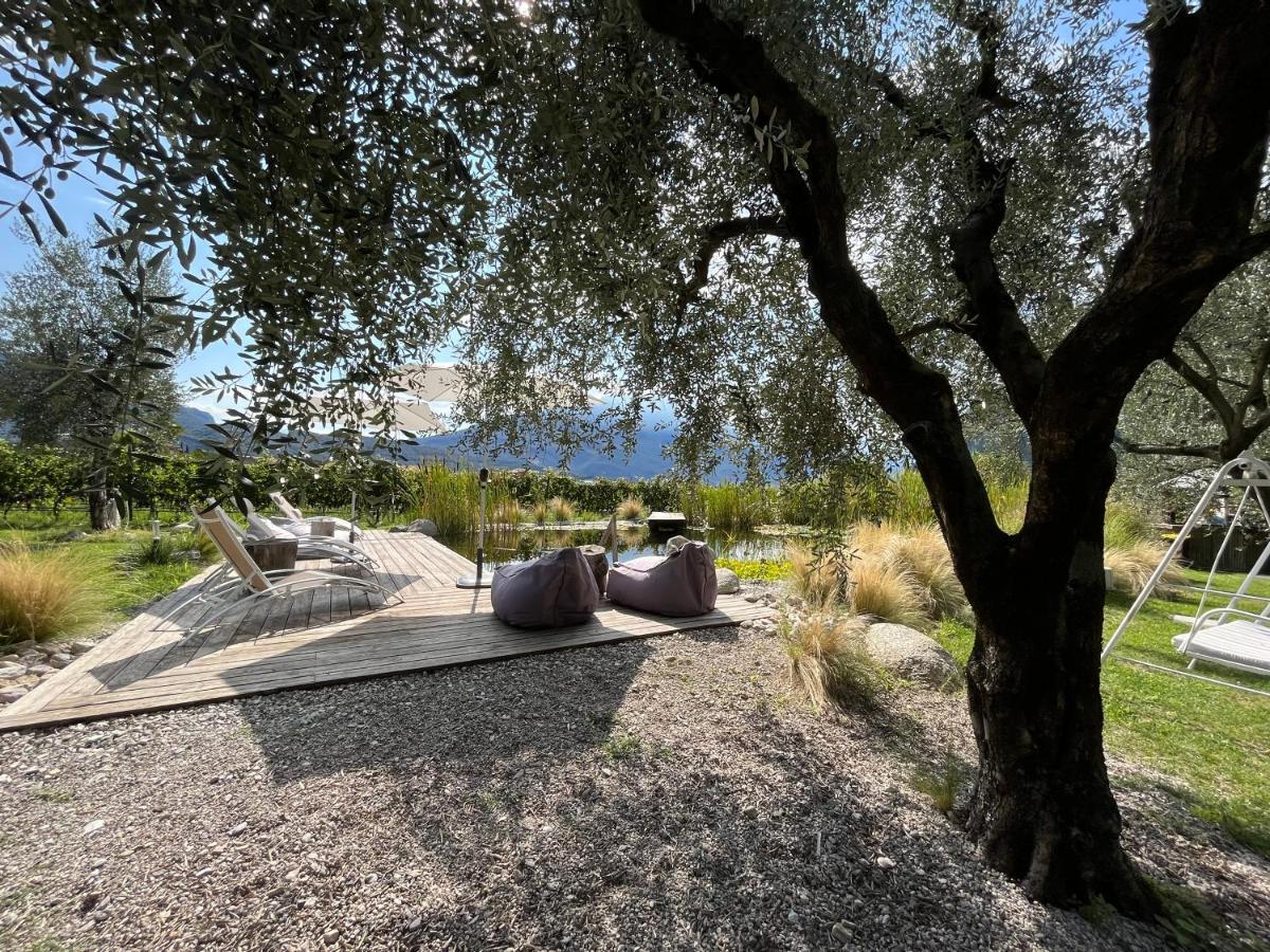 Agritur Fiore D'ulivo Farm stay *